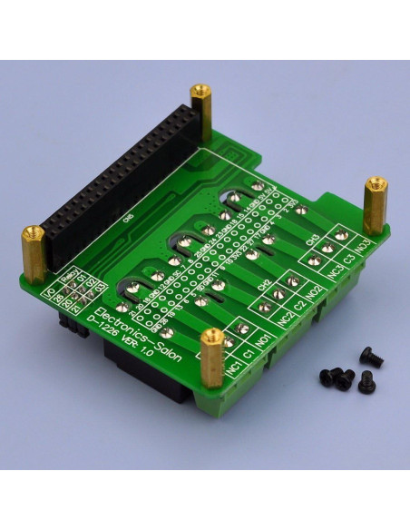 Módulo de Relé de Potencia Electronics-Salon para Raspberry Pi