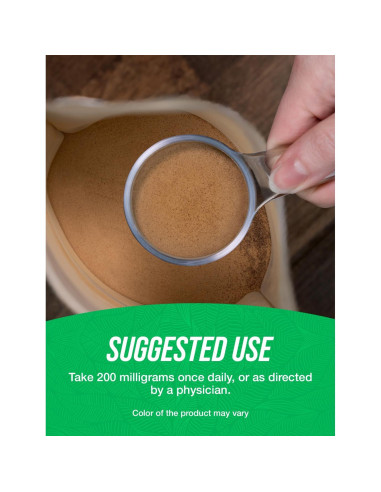 Extracto de Ginkgo Biloba en Polvo BulkSupplements 200mg 500g