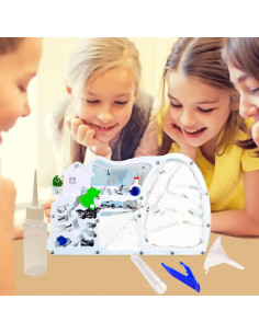 Granja de Hormigas EXBEPE con Excavación y Nido Rotatable 2