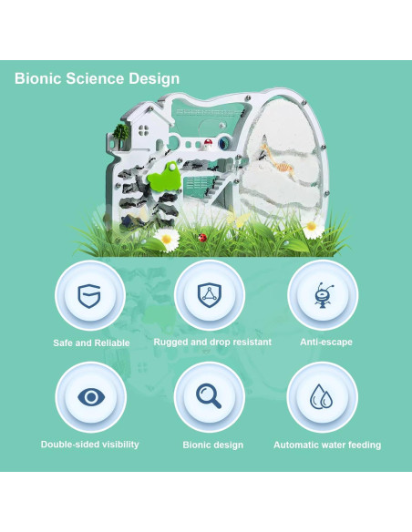 Granja de Hormigas EXBEPE con Excavación y Nido Rotatable