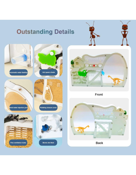 Granja de Hormigas EXBEPE con Excavación y Nido Rotatable