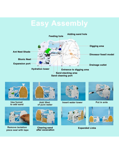 Granja de Hormigas EXBEPE con Excavación y Nido Rotatable