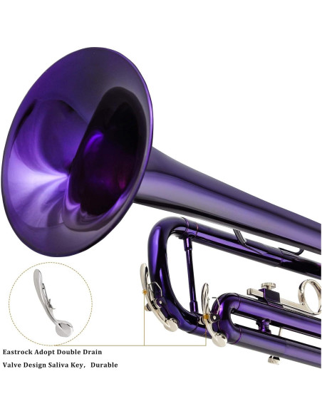 Trompeta Bb EASTROCK Estándar con Estuche y Accesorios