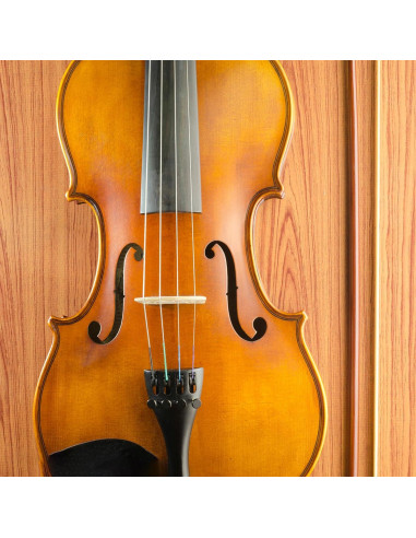 Juego de cuerdas de violonchelo 4/4 Aluminio-Magnesio C15