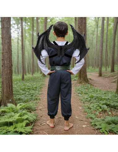 Alas de Dragón Cosplay Himine 45x60 cm para Niños