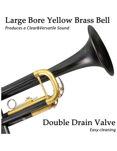 Trompeta Bb ROWELL BK-001 Profesional con Estuche y Accesorios