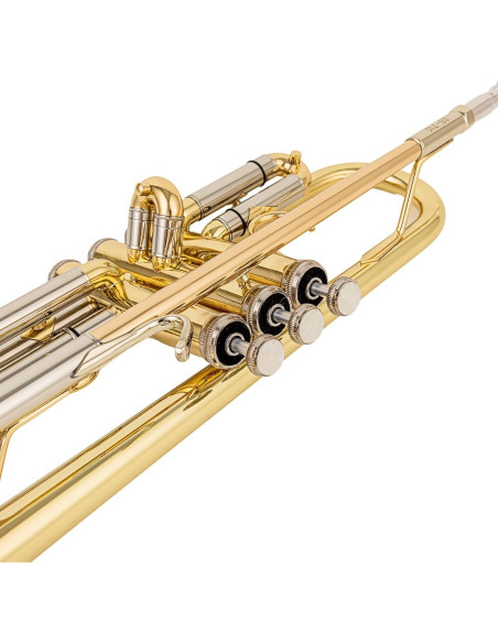 Trompeta Bb AUROSUS SB710 latón dorado 1,16 cm profesional