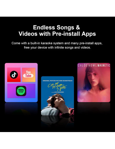 Máquina de Karaoke Inteligente A116 con Pantalla 14" y 2 Micrófonos