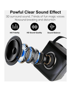 Mini Máquina de Karaoke MUMUWIND MMF-307B con 2 Micrófonos 2