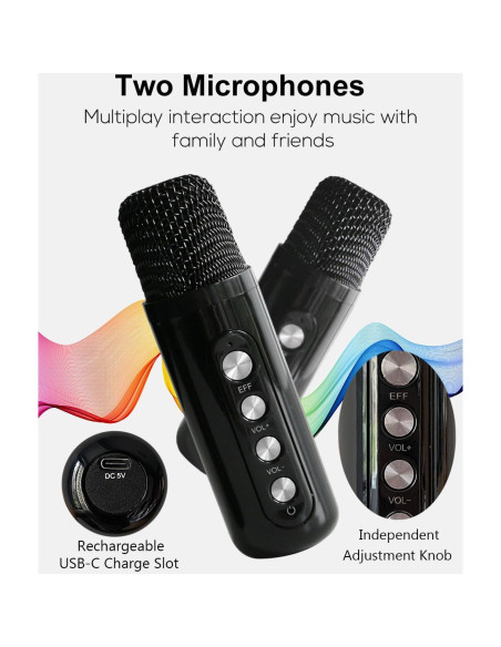Mini Máquina de Karaoke MUMUWIND MMF-307B con 2 Micrófonos
