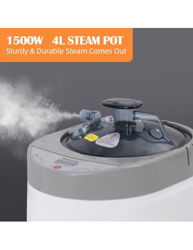 Generador de vapor Smartmak BS9001 1500W 4L con control remoto