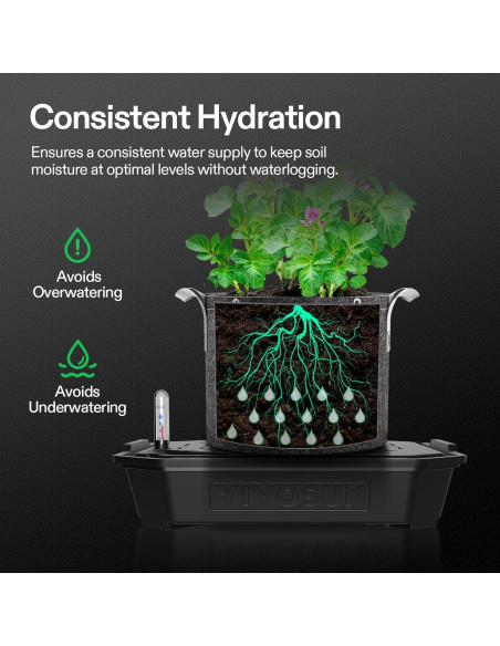Macetas Autorriego VIVOSUN 4-Pack 6L con Medidor de Agua