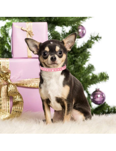 Collar para Perros Pequeños Serijoars Rosa Strass XS 2