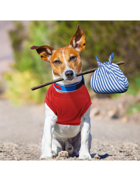 16 Piezas Ropa para Perros Saintrygo Camisetas Suaves M