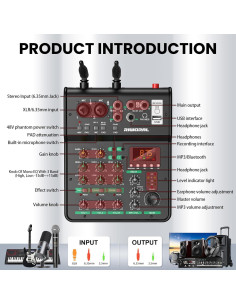 Consola de Mezcla de Audio 4 Canales RA-4 con Micrófonos 2
