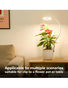 Luz de Crecimiento LORDEM LED Espectro Completo 4 Brillos 2