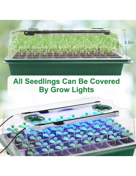 Kit de Germinación NEWKITS con Luz y 80 Celdas