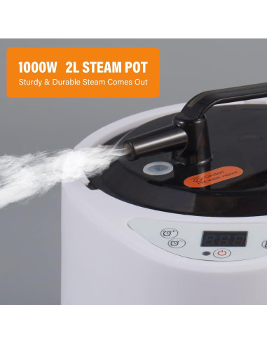 Generador de Vapor Portátil Hoolife 2L 1000W con Control Remoto