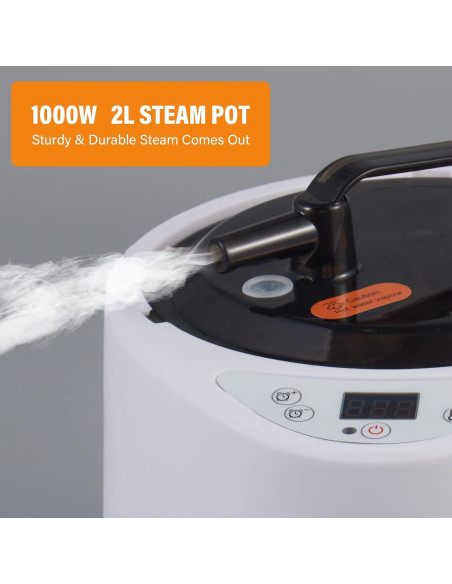 Generador de Vapor Portátil Hoolife 2L 1000W con Control Remoto