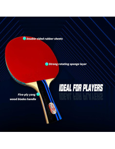 Set de Tenis de Mesa Double Fish 4 Palas y 6 Pelotas ITTF 2