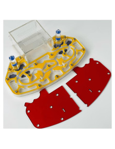 Nido de hormigas Acrílico ANT GRAPE 24x18 cm Amarillo