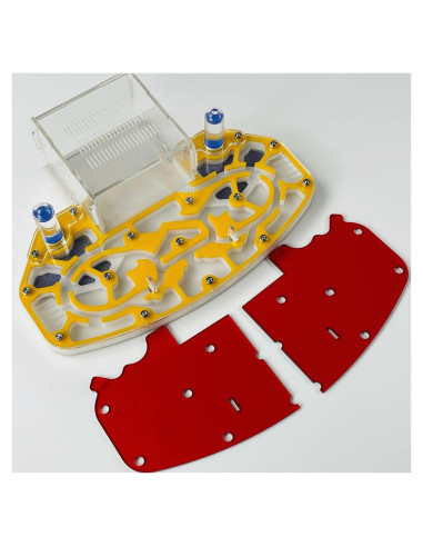 Nido de hormigas Acrílico ANT GRAPE 24x18 cm Amarillo