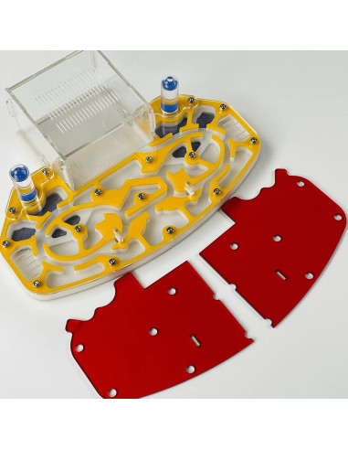 Nido de hormigas Acrílico ANT GRAPE 24x18 cm Amarillo