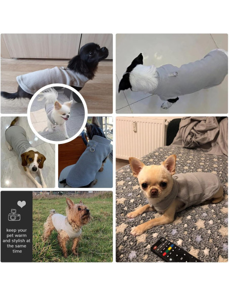Suéter para Perros Pequeños PETCARE Chaleco Polar Gris