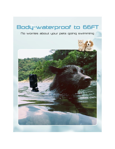 Cámara de Collar para Mascotas Apexcam 4K con WiFi y 64GB