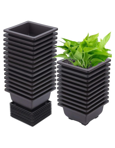 15 Macetas Cuadradas ZEONHEI 11.94 cm para Bonsái