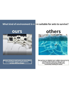 Castillo de Cría de Hormigas Kahopy con Accesorios Educativos 2