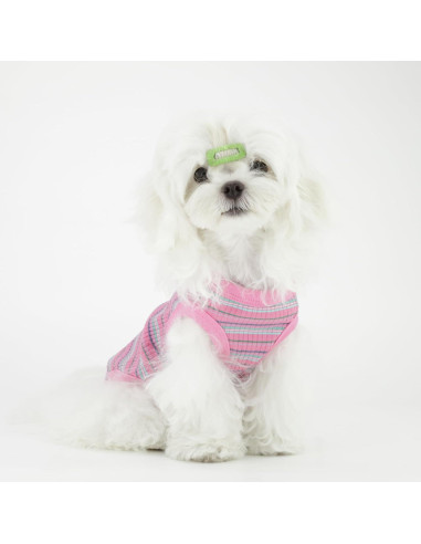 Camiseta Chaleco Algodón Paiaite Rosa Pequeño para Perros