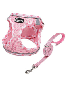 Arnés y Correa Mercano Rosa S para Perros y Gatos
