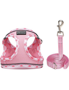Arnés y Correa Mercano Rosa S para Perros y Gatos 2