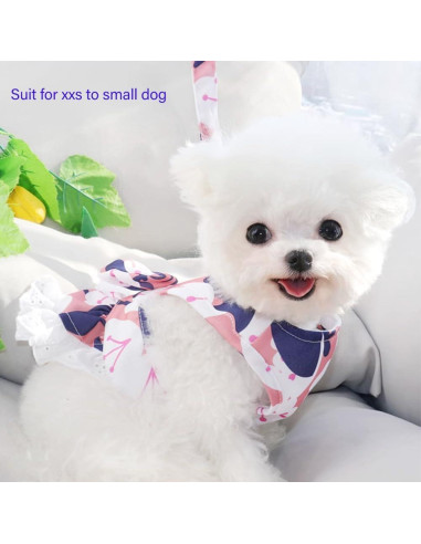 Vestido Arnés para Perro Pequeño Rosa Floral con Correa