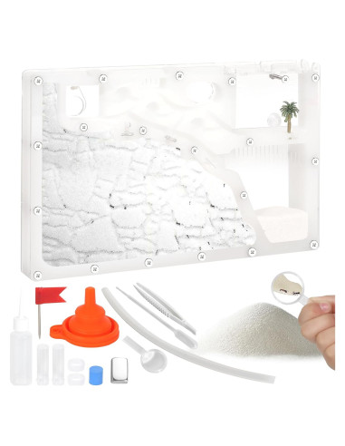 Granja de Hormigas Blevla Rectángulo Kit Educativo 27x14cm