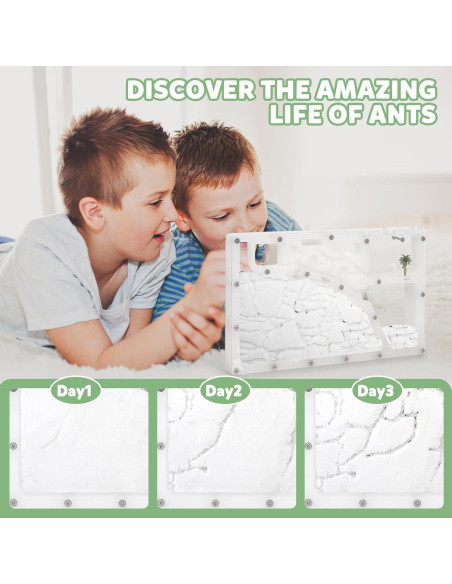 Granja de Hormigas Blevla Rectángulo Kit Educativo 27x14cm