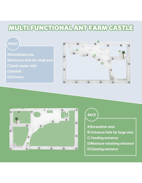Granja de Hormigas Blevla Rectángulo Kit Educativo 27x14cm