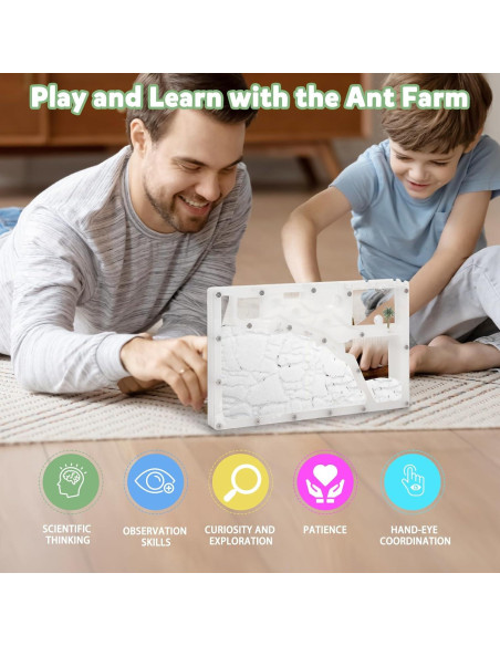 Granja de Hormigas Blevla Rectángulo Kit Educativo 27x14cm