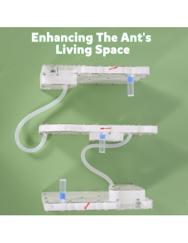 Granja de Hormigas Blevla Rectángulo Kit Educativo 27x14cm