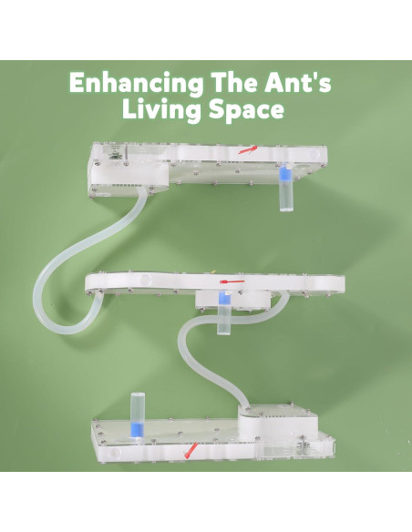 Granja de Hormigas Blevla Rectángulo Kit Educativo 27x14cm