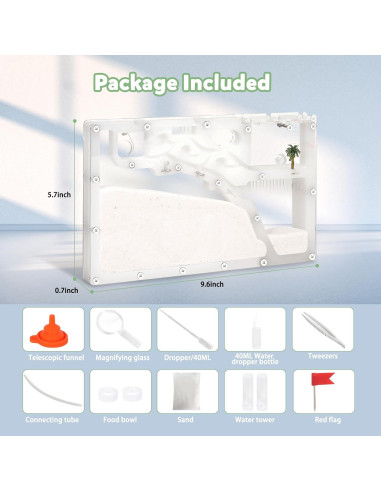 Granja de Hormigas Blevla Rectángulo Kit Educativo 27x14cm