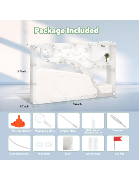 Granja de Hormigas Blevla Rectángulo Kit Educativo 27x14cm