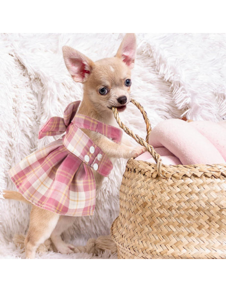 Conjunto de vestido a cuadros para perros Potchen 4 piezas M