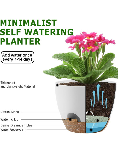 Macetas Autorriego QRRICA Juego de 5 Blancas 20-25 cm