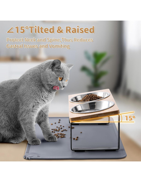 Cuencos Elevados para Gatos Summark 2 Acero Inoxidable Antivómito Cuencos Elevados para Gatos Summark 2 Acero Inoxidable Antivómito