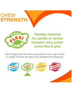 Hueso Masticable Nylabone Mantequilla y Tocino XX-Pequeño 2 Unidades 2