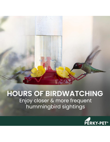 Alimentador de Colibríes Perky-Pet 217 Ventana 236 ml Iridiscente