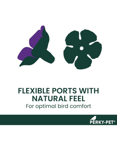 Alimentador de Colibríes Perky-Pet 217 Ventana 236 ml Iridiscente