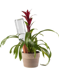 Estacas de Autorriego Modern Innovations 4 Unidades Terracota 2